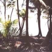  Half Moon Caye, Belize